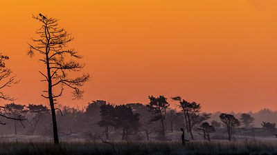 BUITEN BEELD Foto: 288387