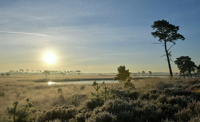 BUITEN BEELD Foto: 288392