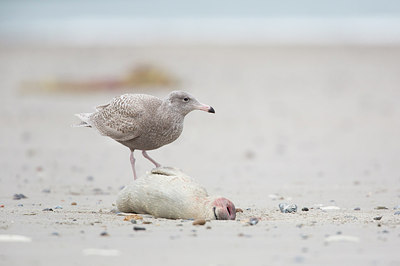 BUITEN BEELD Foto: 288474