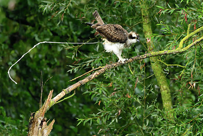 BUITEN BEELD Foto: 288495