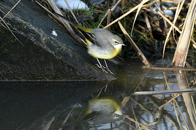 BUITEN BEELD Foto: 288547