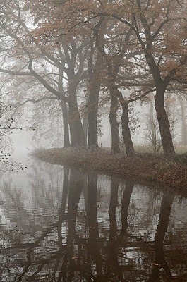 BUITEN BEELD Foto: 288593