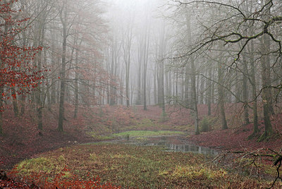 BUITEN BEELD Foto: 288621