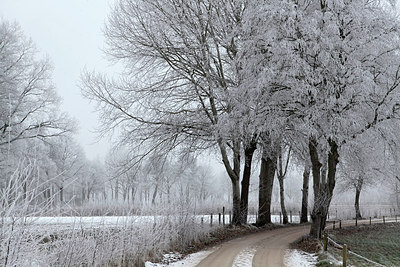 BUITEN BEELD Foto: 288625