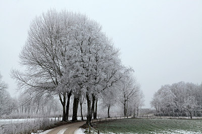BUITEN BEELD Foto: 288626