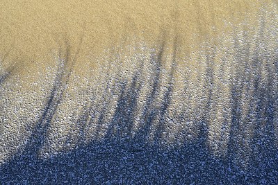 BUITEN BEELD Foto: 288649