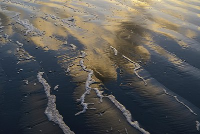 BUITEN BEELD Foto: 288656