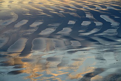 BUITEN BEELD Foto: 288658