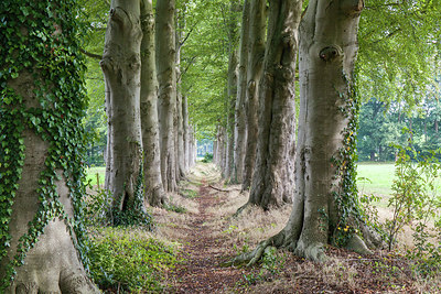 BUITEN BEELD Foto: 288775