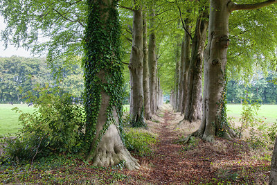BUITEN BEELD Foto: 288776