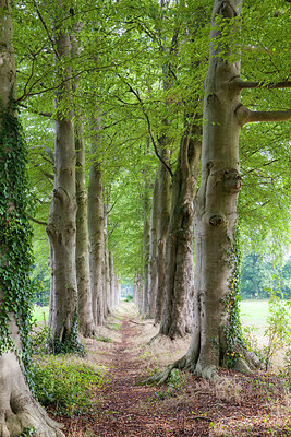 BUITEN BEELD Foto: 288777