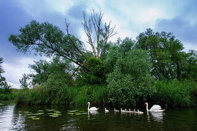 BUITEN BEELD Foto: 288803