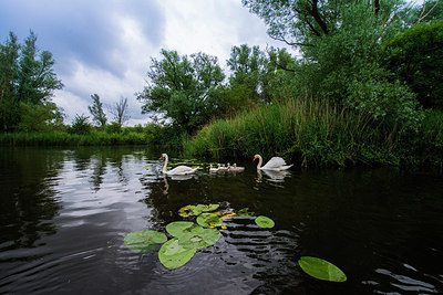 BUITEN BEELD Foto: 288809
