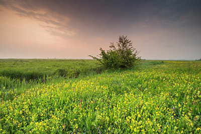 BUITEN BEELD Foto: 288836