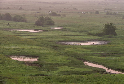 BUITEN BEELD Foto: 288858