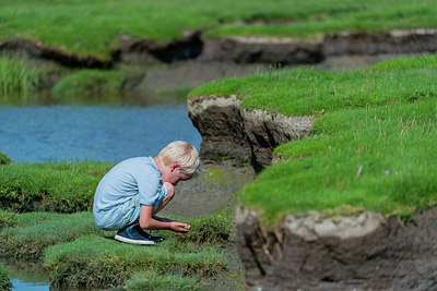 BUITEN BEELD Foto: 288862