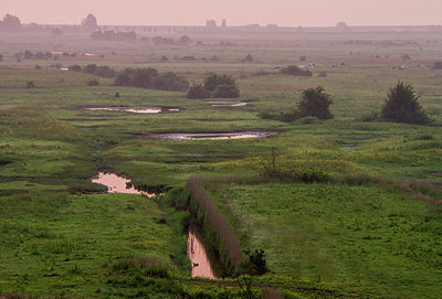 BUITEN BEELD Foto: 288879