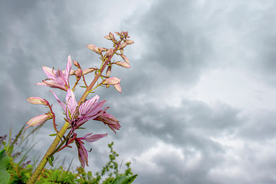 BUITEN BEELD Foto: 288881