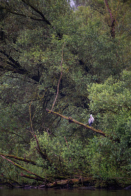 BUITEN BEELD Foto: 288884