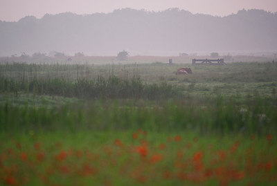 BUITEN BEELD Foto: 288886