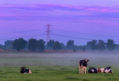 BUITEN BEELD Foto: 288956