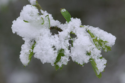 BUITEN BEELD Foto: 28002