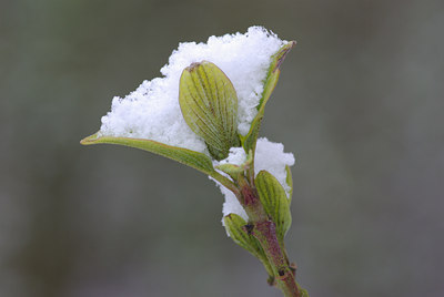 BUITEN BEELD Foto: 28004