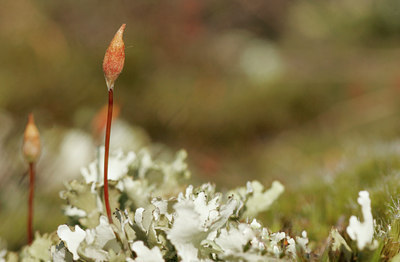 BUITEN BEELD Foto: 28025