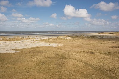 BUITEN BEELD Foto: 28072