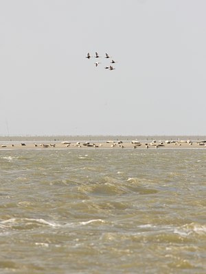 BUITEN BEELD Foto: 28088