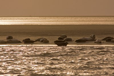 BUITEN BEELD Foto: 28091