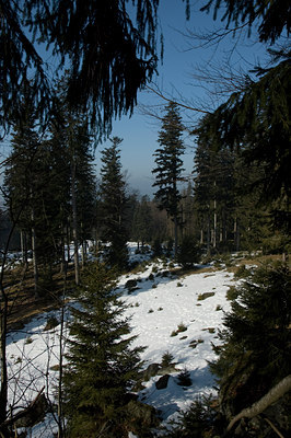 BUITEN BEELD Foto: 28129