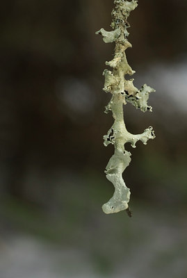 BUITEN BEELD Foto: 28187