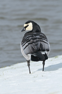 BUITEN BEELD Foto: 28220