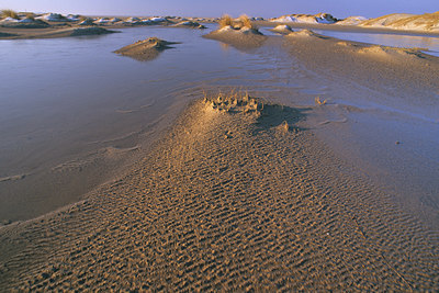 BUITEN BEELD Foto: 28242
