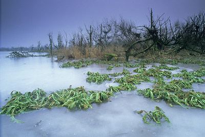 BUITEN BEELD Foto: 28245