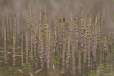 BUITEN BEELD Foto: 28252