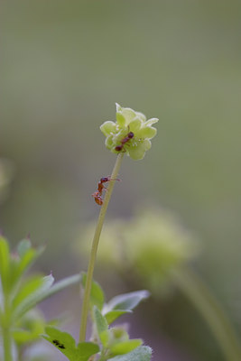 BUITEN BEELD Foto: 28256