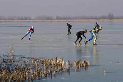 BUITEN BEELD Foto: 28272