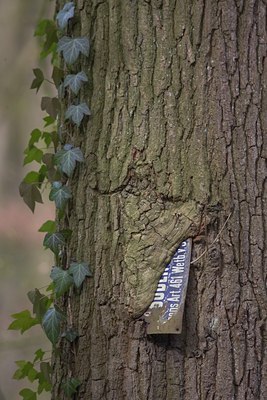 BUITEN BEELD Foto: 28277