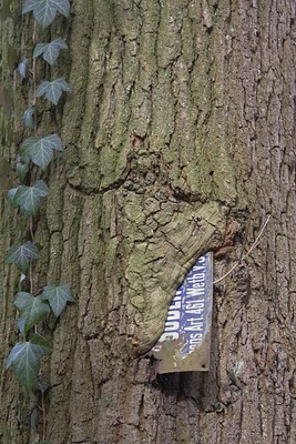 BUITEN BEELD Foto: 28278