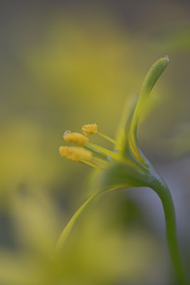BUITEN BEELD Foto: 28280