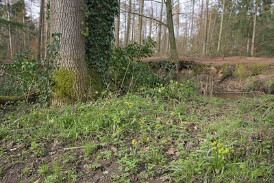 BUITEN BEELD Foto: 28288
