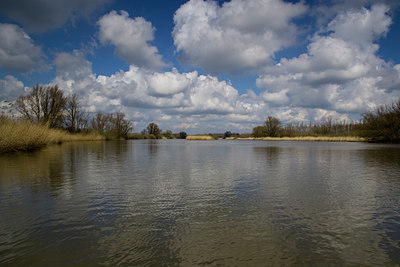 BUITEN BEELD Foto: 28332