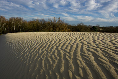 BUITEN BEELD Foto: 28361