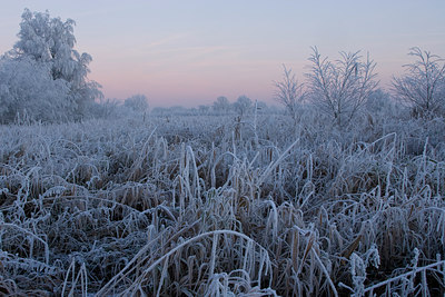 BUITEN BEELD Foto: 28365