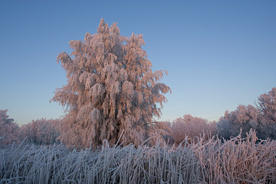 BUITEN BEELD Foto: 28366