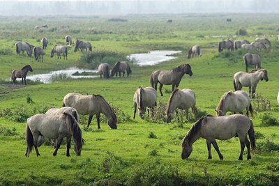 BUITEN BEELD Foto: 28390