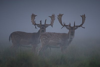 BUITEN BEELD Foto: 28393