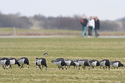 BUITEN BEELD Foto: 28403